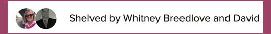 Great Things Readers Are Saying 48 ShevledWhitney