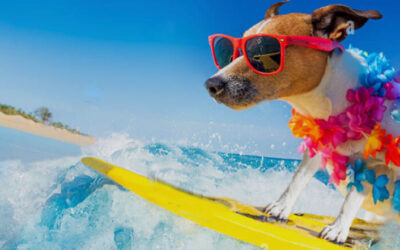 Where’s Your Favorite Place to Read?