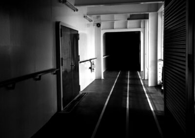 Image of the interior of a cruise ship.