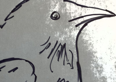 Image of a Raven.
