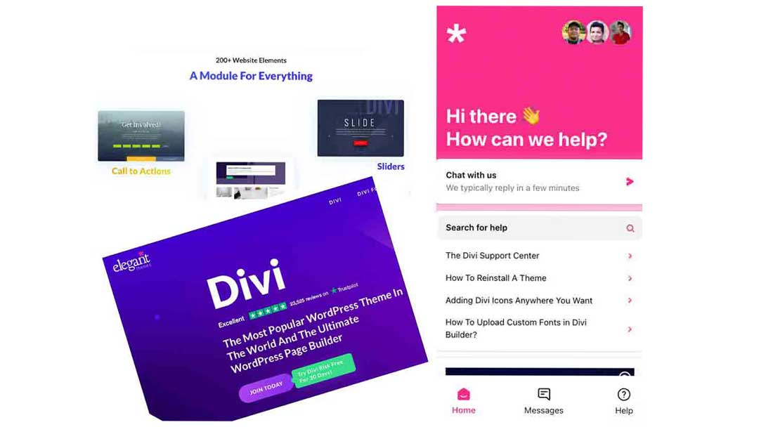 Divi01