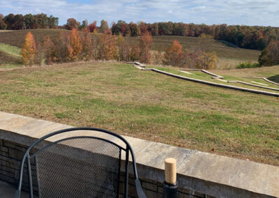 Photos of vineyard on wine tour