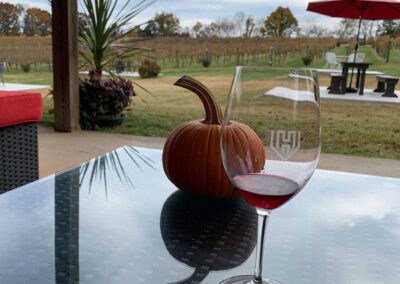 Photos ow vineyard on wine tour