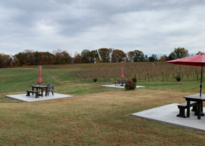 Photo of vineyard