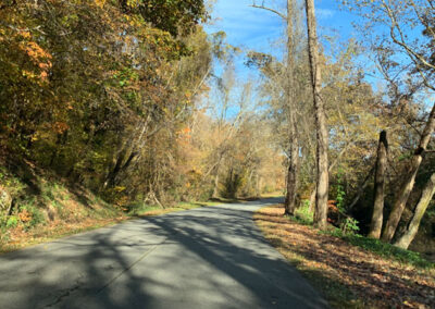 Photo of road to vineyard