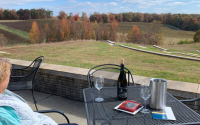 Let’s Go on a Wine Tour
