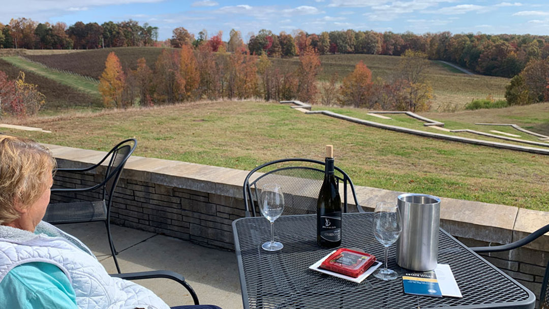 Photo of a wine tour.