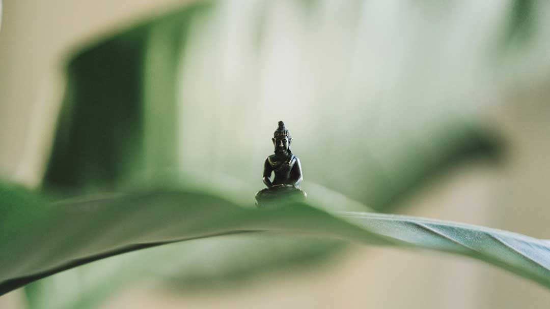 Photo of Buddah.