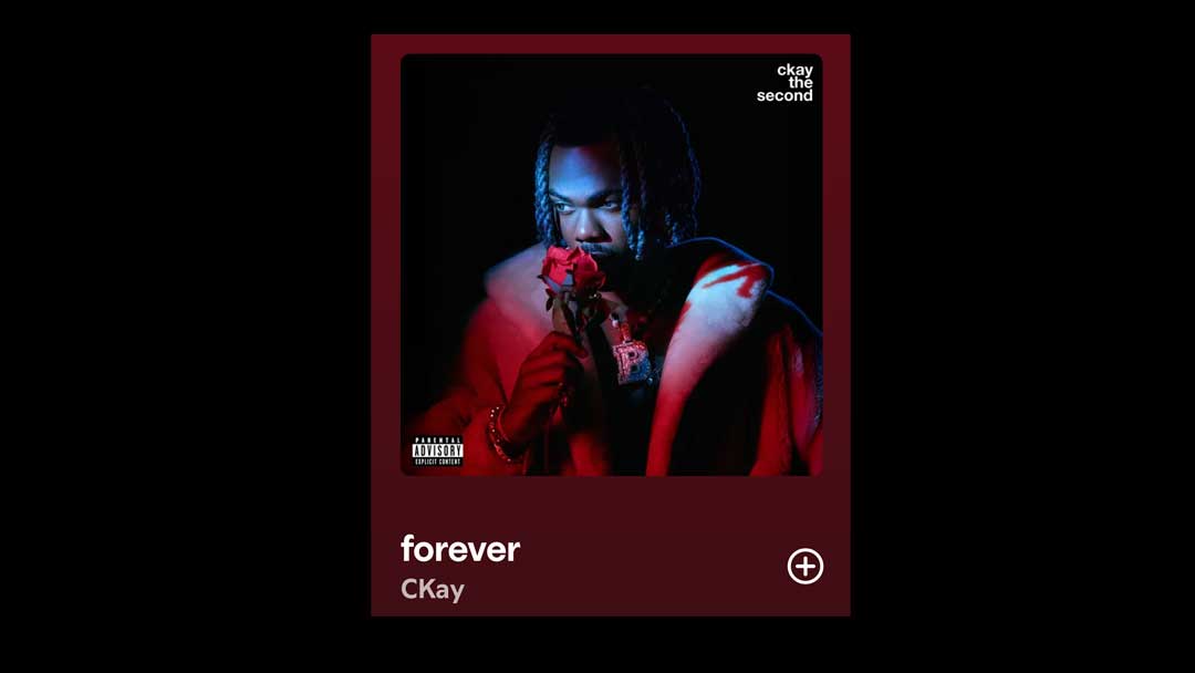 CKForever Image for the song Forever by CKay for blog post "🎶 3 Fresh & Smooth Tracks You’ll Keep on Repeat (Sept 2025)."
