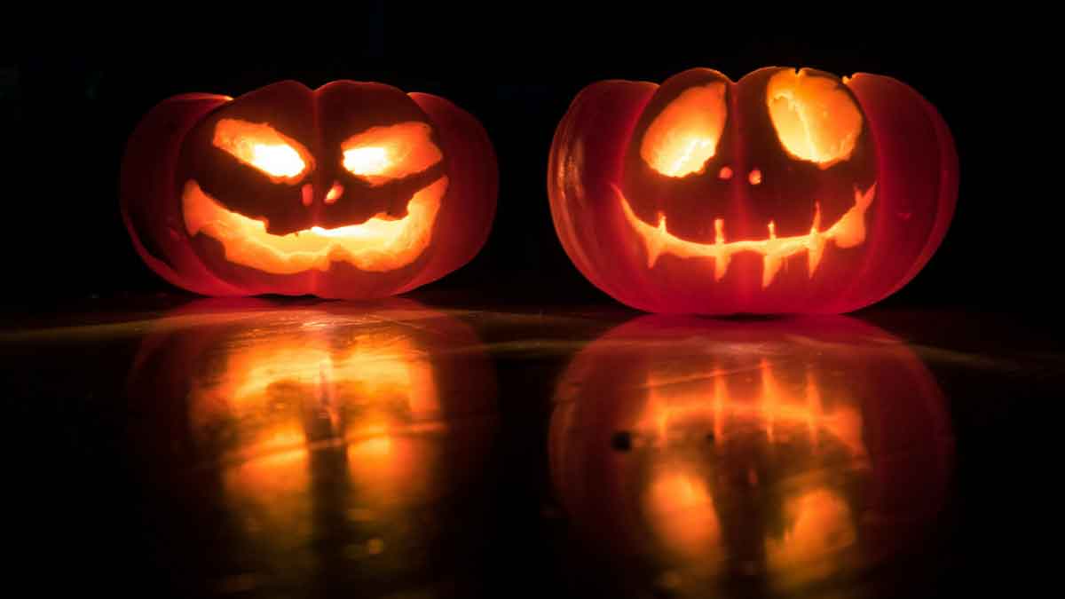 HomePage 1 Two Halloween pumpkins