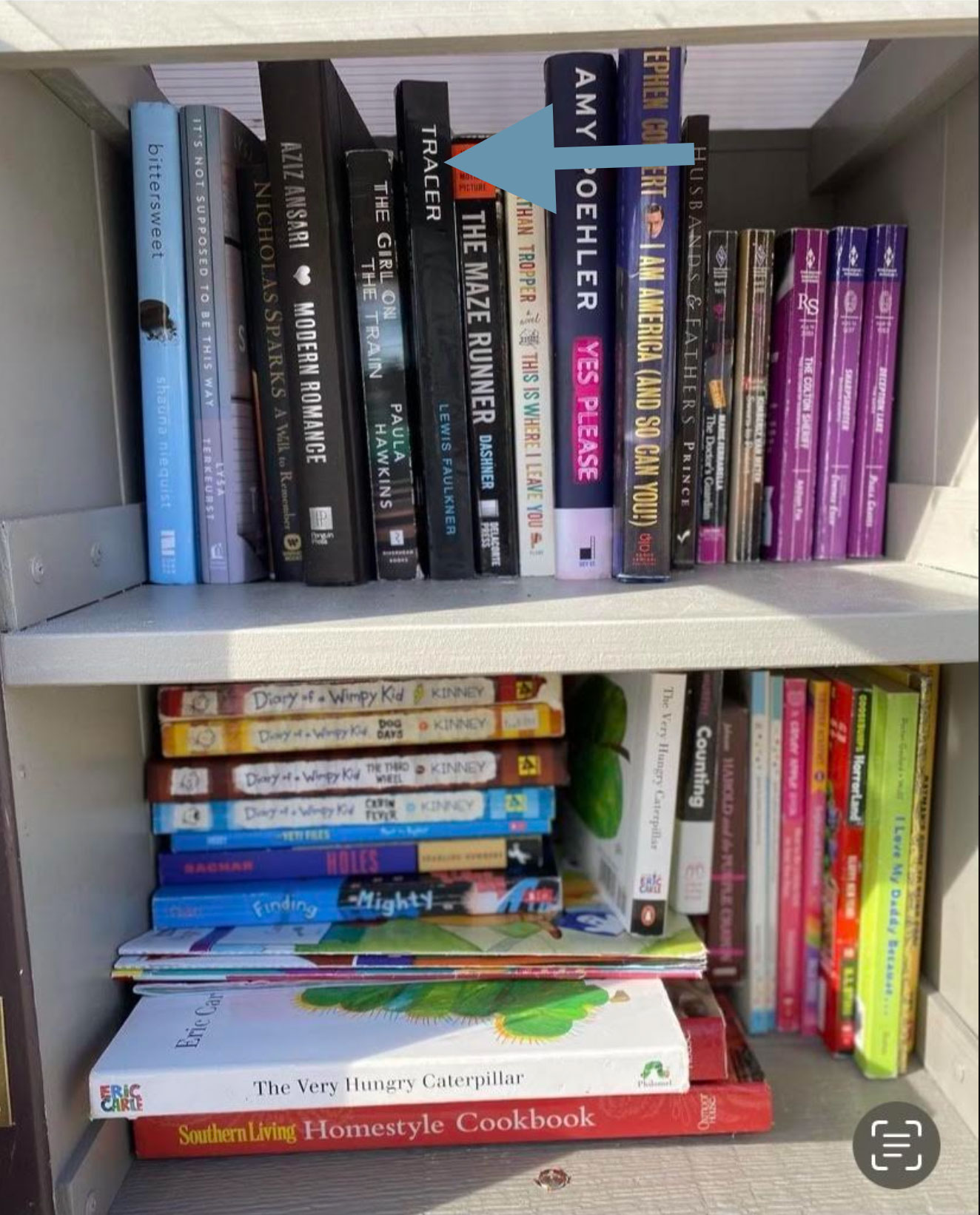 Great Things Readers Are Saying 43 WhitneysLittleLibrary 826x1024 1